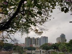 -荔湾湖公园
