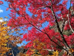 -叠溪松坪沟景区