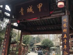 -青城甲(青城山店)