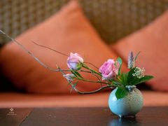 -厦门日月谷温泉渡假村