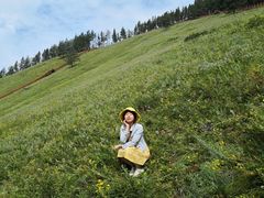 -莫尔道嘎国家森林公园