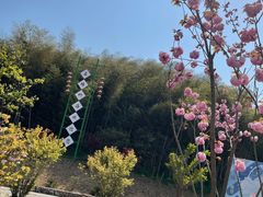 -石塘人家