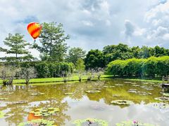 -中国科学院西双版纳热带植物园