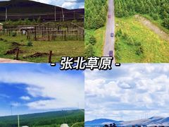 -桔子文创·企业团建·活动策划·拓展会议
