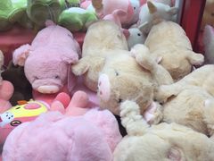 -吾悦广场(天津和平店)