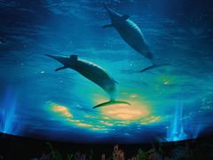 -陕西自然博物馆