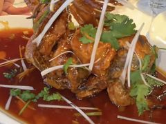 松鼠鲈鱼-老苏扬饭店