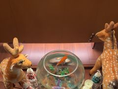 -300杯·和牛烧肉清酒专门店(廊里店)