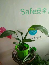 -煜婷产后恢复中心(印象生活广场店)