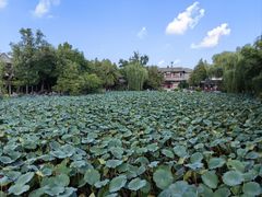 -莲池书院博物馆