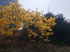-玲珑塔公园