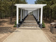 -乌素图国家森林公园