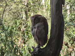 -普洱太阳河森林公园