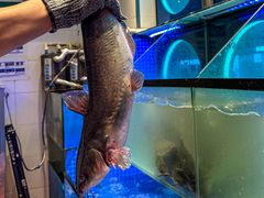 -鱼酷活鱼烤鱼(恒隆广场店)