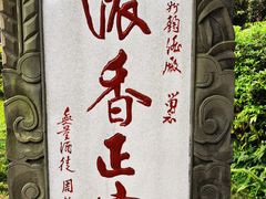 -泸州老窖景区