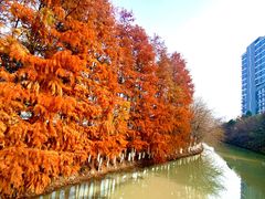 -一席地·本地鸡窝·杭帮鸡火锅(萧山银隆百货店)