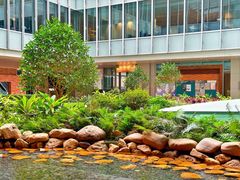 -香港大学