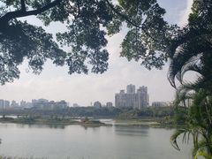 -南宁南湖公园