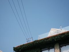 -Vanilla Specialty Coffee(八大关店)