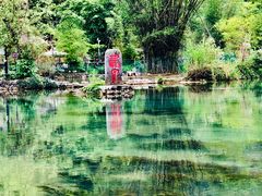 -靖西鹅泉风景区