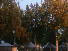 -九十九顶毡房(阜石路店)