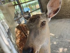 -武汉紫薇都市田园