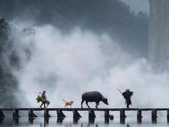 -杨家堂村