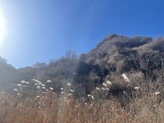 -抱龙峪