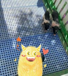 点击看大图 -萌宠亲子动物乐园(槐房万达店)