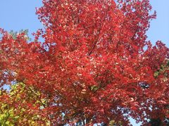 -香山公园-东宫门售票处