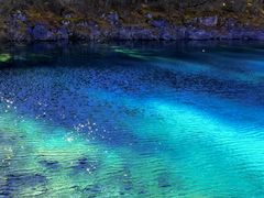 -乡土特色.冷锅鱼.牦牛肉汤锅