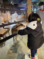 -酷嗒动物文化乐园(cutezoo西溪乐天城店)