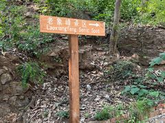 -老象峰