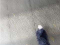 -小西家作•精致蛋糕(富力爱丁堡店)