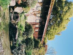 -中国茶叶博物馆(双峰馆区)