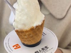 -野人先生Gelato(上海长宁龙之梦店)
