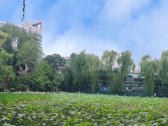 -莲湖公园