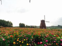 -北纬44度·金珠花海休闲农业旅游景区