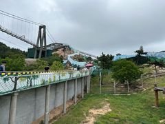 -西霞口神雕山野生动物世界