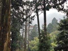 -东天目山风景区