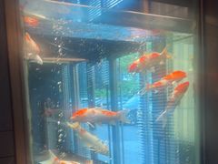 -浩运·海鲜青岛菜·海胆水饺(石老人店)