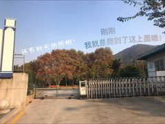 -紫金山山顶公园