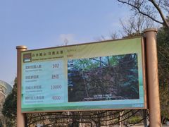 -南京市无想山景区