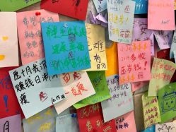 -洗脸猫·洗脸吧(北京大兴大悦春风里店)