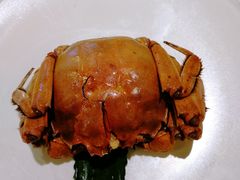 八年陈酒熟醉蟹-苏小柳手工点心(人民广场分院)