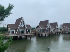 -阳光海岸露营公园