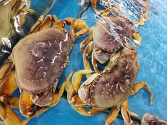 -宝燕海货工场(长江国际店)