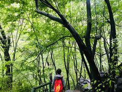 -孤山寨风景区
