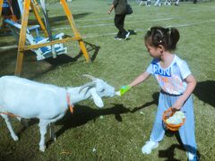 -前小桔亲子创意农场·草莓采摘·露营烧烤