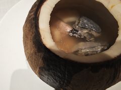 原汁椰炖乌鸡汤-汤城小厨•粤菜•靓汤(金融街店)